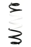 Fahrwerksfeder Hinterachse SPIDAN GKNW10296