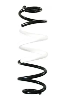Fahrwerksfeder Hinterachse SPIDAN GKNW10296 Bild Fahrwerksfeder Hinterachse SPIDAN GKNW10296