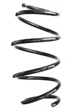 Fahrwerksfeder Vorderachse SPIDAN GKNW10298