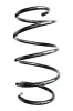 Fahrwerksfeder Vorderachse SPIDAN GKNW10299