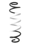 Fahrwerksfeder Hinterachse SPIDAN GKNW10302
