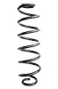 Fahrwerksfeder Hinterachse SPIDAN GKNW10303