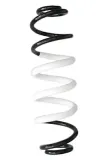 Fahrwerksfeder Hinterachse SPIDAN GKNW10304