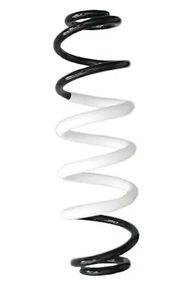 Fahrwerksfeder Hinterachse SPIDAN GKNW10304 Bild Fahrwerksfeder Hinterachse SPIDAN GKNW10304