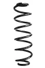 Fahrwerksfeder Hinterachse SPIDAN GKNW10306