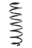 Fahrwerksfeder Hinterachse SPIDAN GKNW10310