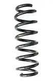 Fahrwerksfeder Hinterachse SPIDAN GKNW10311