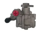 Hydraulikpumpe, Lenkung SPIDAN GKNY10102