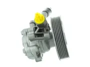 Hydraulikpumpe, Lenkung SPIDAN GKNY10156