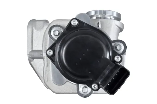 AGR-Ventil 12 V HELLA 6NU 010 171-111 Bild AGR-Ventil 12 V HELLA 6NU 010 171-111