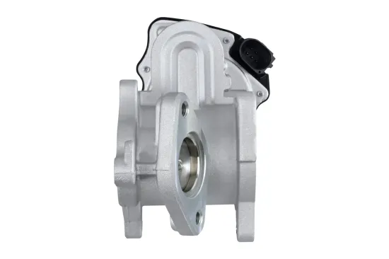 AGR-Ventil HELLA 6NU 010 171-291 Bild AGR-Ventil HELLA 6NU 010 171-291