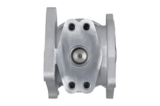 AGR-Ventil HELLA 6NU 010 171-301 Bild AGR-Ventil HELLA 6NU 010 171-301