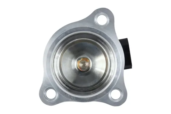 AGR-Ventil HELLA 6NU 010 171-551 Bild AGR-Ventil HELLA 6NU 010 171-551