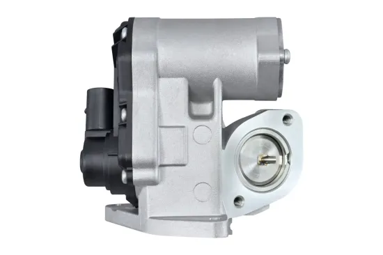 AGR-Ventil HELLA 6NU 010 171-811 Bild AGR-Ventil HELLA 6NU 010 171-811