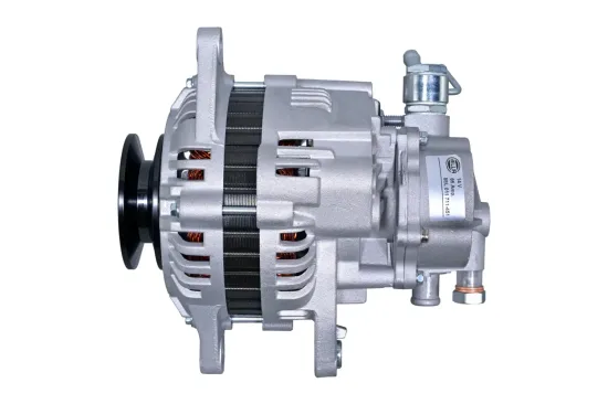 Generator 12 V HELLA 8EL 011 711-451 Bild Generator 12 V HELLA 8EL 011 711-451