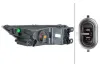 Nebelscheinwerfer 12 V rechts HELLA 1NG 354 843-101 Bild Nebelscheinwerfer 12 V rechts HELLA 1NG 354 843-101