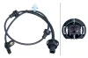 Sensor, Raddrehzahl Vorderachse links HELLA 6PU 358 417-481 Bild Sensor, Raddrehzahl Vorderachse links HELLA 6PU 358 417-481