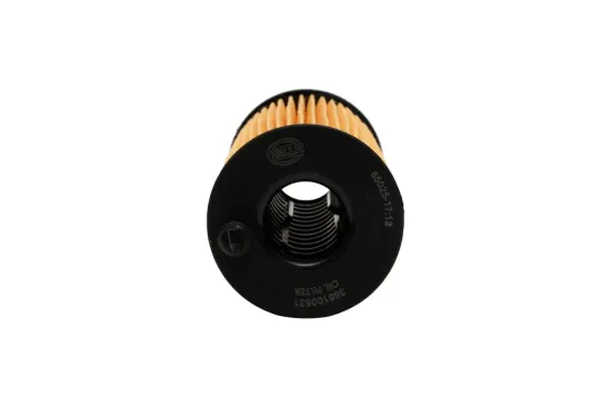Ölfilter HELLA 8ZO 366 100-531 Bild Ölfilter HELLA 8ZO 366 100-531