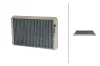Filter, Innenraumluft HELLA 8ZC 366 124-091 Bild Filter, Innenraumluft HELLA 8ZC 366 124-091