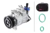 Kompressor, Klimaanlage 12 V HELLA 8FK 366 201-091 Bild Kompressor, Klimaanlage 12 V HELLA 8FK 366 201-091