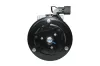 Kompressor, Klimaanlage 12 V HELLA 8FK 366 202-191 Bild Kompressor, Klimaanlage 12 V HELLA 8FK 366 202-191