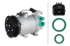 Kompressor, Klimaanlage 12 V HELLA 8FK 366 202-481 Bild Kompressor, Klimaanlage 12 V HELLA 8FK 366 202-481