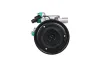 Kompressor, Klimaanlage 12 V HELLA 8FK 366 202-631 Bild Kompressor, Klimaanlage 12 V HELLA 8FK 366 202-631