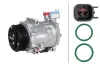 Kompressor, Klimaanlage 12 V HELLA 8FK 366 202-691 Bild Kompressor, Klimaanlage 12 V HELLA 8FK 366 202-691