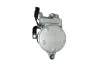 Kompressor, Klimaanlage 12 V HELLA 8FK 366 202-911 Bild Kompressor, Klimaanlage 12 V HELLA 8FK 366 202-911