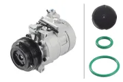 Kompressor, Klimaanlage 12 V HELLA 8FK 366 202-981