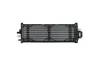 Kühler, Motorkühlung HELLA 8MK 366 303-211 Bild Kühler, Motorkühlung HELLA 8MK 366 303-211