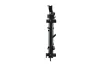 Kühler, Motorkühlung HELLA 8MK 366 303-301 Bild Kühler, Motorkühlung HELLA 8MK 366 303-301