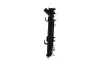 Kühler, Motorkühlung HELLA 8MK 366 304-981 Bild Kühler, Motorkühlung HELLA 8MK 366 304-981
