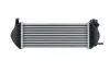 Ladeluftkühler HELLA 8ML 366 340-861 Bild Ladeluftkühler HELLA 8ML 366 340-861
