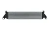 Ladeluftkühler HELLA 8ML 366 340-981 Bild Ladeluftkühler HELLA 8ML 366 340-981