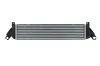 Ladeluftkühler HELLA 8ML 366 340-981 Bild Ladeluftkühler HELLA 8ML 366 340-981