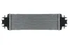 Ladeluftkühler HELLA 8ML 366 341-031 Bild Ladeluftkühler HELLA 8ML 366 341-031