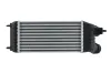 Ladeluftkühler HELLA 8ML 366 341-061 Bild Ladeluftkühler HELLA 8ML 366 341-061