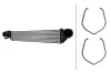 Ladeluftk&uuml;hler HELLA 8ML 366 341-461