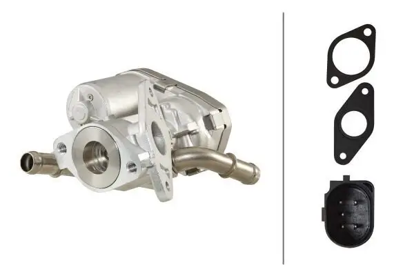 AGR-Ventil 12 V HELLA 6NU 010 171-271