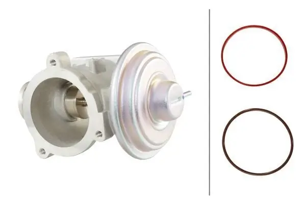 AGR-Ventil HELLA 6NU 010 171-701