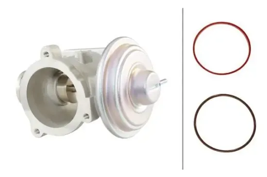 AGR-Ventil HELLA 6NU 010 171-701 Bild AGR-Ventil HELLA 6NU 010 171-701