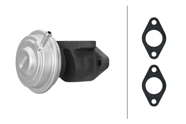 AGR-Ventil HELLA 6NU 014 865-441