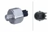 Klopfsensor HELLA 6PG 013 114-531