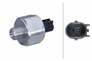 Klopfsensor HELLA 6PG 013 114-531