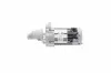 Starter 12 V 0,7 kW HELLA 8EA 012 528-811 Bild Starter 12 V 0,7 kW HELLA 8EA 012 528-811