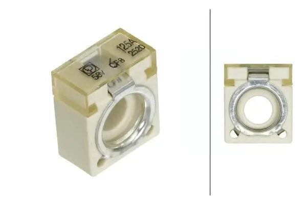 Sicherung HELLA 8JS 747 876-031