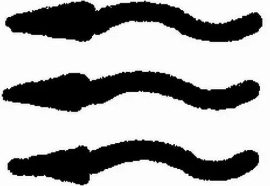 Typschild HELLA 9XT 713 630-291 Bild Typschild HELLA 9XT 713 630-291