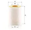 Luftfilter MANN-FILTER C 1036/2 Bild Luftfilter MANN-FILTER C 1036/2
