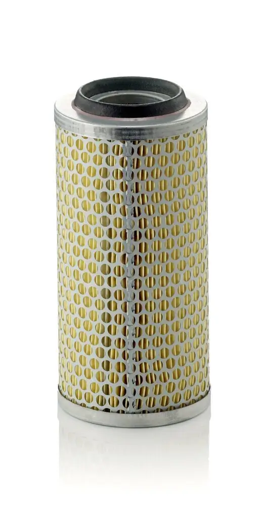 Luftfilter MANN-FILTER C 1176/4